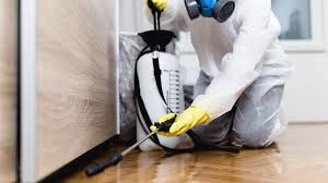 Best Pest Prevention Services  in South Floral Park, NY